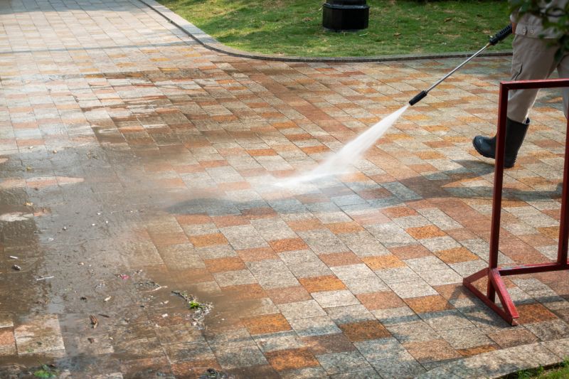 Paver Cleaning Before and After
